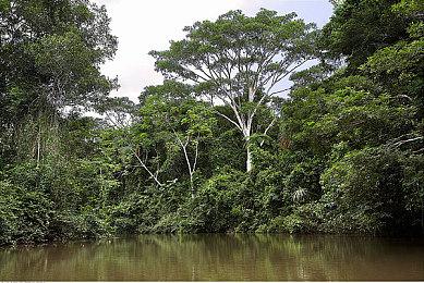 小岛秀夫透露 《死亡搁浅2》日语配音工作圆满收官